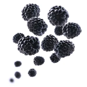 Blackberry