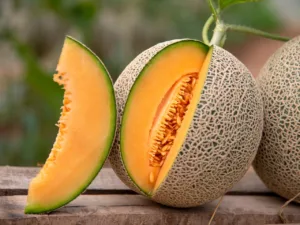 Cantaloupe