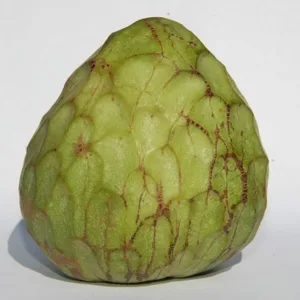 Cherimoya (Custard Apple)