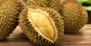 Durian