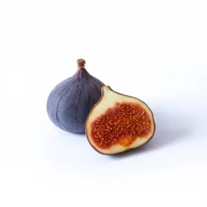 Fig