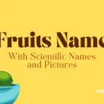 Fruits Name