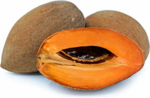 Mamey Sapote