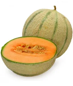 Muskmelon