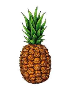 Pineapple