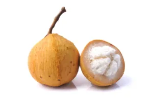 Santol